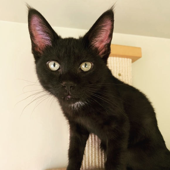 meet your posher, Me!! - Picture 4 of 5